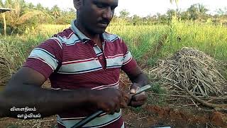 ,சொட்டுநீர்ப் பாசனம் அமைத்தல்-பகுதி-2/Drip Irrigation -part-2