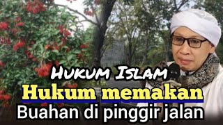 hukum memakan buahan di pinggir jalan, Buya yahya