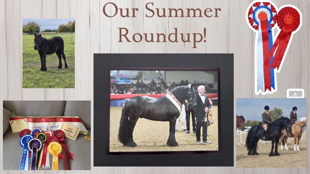 Summer Round Up Youtube