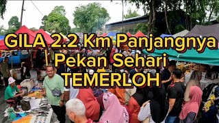 GILA..2.2 Km Panjangnya Pekan Sehari TEMERLOH