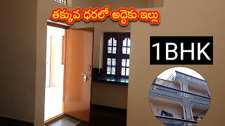 1BHK RENT అద్దెకు ఇల్లు తక్కువ ధరలో🤩 | Rental houses lowest price budget #1bhk #rent #room