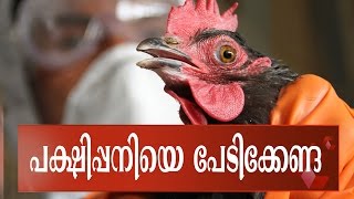 Bird Flu Found In Alappuzha Won't Be Spread To Humans