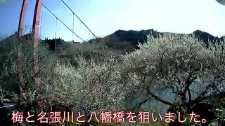 【空撮】梅の名所 奈良県 月ヶ瀬でドローン空撮