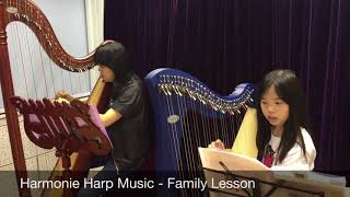 Harp Group Lesson 豎琴小組課程 - 兒童/成人/親子/合奏