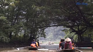 宁平, 越南   风景之美被誉为是陸地上的下龙湾