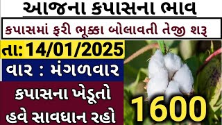 Kapas na bhav | 14-01-2025 | કપાસના ભાવ:2023 | Information about cotton crop price | commodity trend