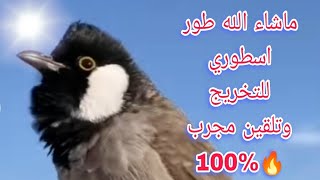 للتخريج االمخاليف. مندلاوي ب6 لسانات طبك شدة ورد تكي حلو جيب ورد بنت الورد طياري.سهل وسريع