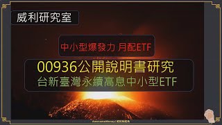 S15EP18| 00936公開說明書研究，中小型爆發力，台新臺灣永續高息中小型ETF