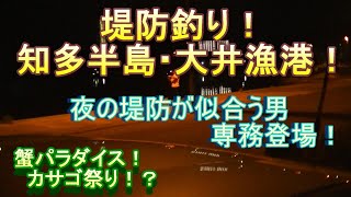 釣り　知多半島　大井漁港　夜釣り　カサゴにメバル・ハゼが爆釣？　蟹も大量ですｗ