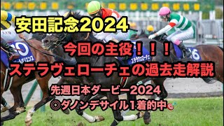 【安田記念2024】復活の兆し見えてます！ステラヴェローチェ解説