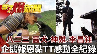 823秘辛…靈犬 神雞 李昌鈺 企鵝報恩黏TT 感動全記錄《57爆新聞》網路獨播版