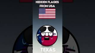 HIDDEN FLAGS USA 🔄 #countryballs