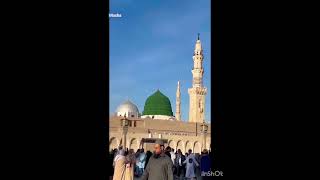 hum waha ja k wapis nahi aengay in sha اللہ  🥺❤ #shorts #youtubeshorts #madina #madinah