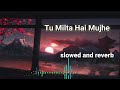 tu milta hai mujhe to muskurata hu slowed and reverb raj barman rashid khan lo fi