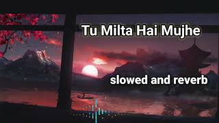 Tu Milta Hai Mujhe to muskurata hu slowed and reverb | Raj Barman | Rashid Khan | lo-fi