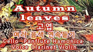 Autumn leaves(고엽)