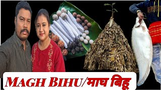 Magh Bihu / Bhogali Bihu | Festival Of Assam #vlog