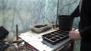 How to Grow Super Hot Pepper Seeds EZ!