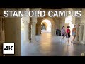 Stanford University · Campus Walking Tour · 4K