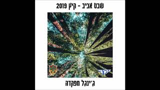 גינגל מפקדה - שבט אביב 2019