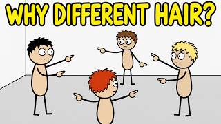 Why Do Humans Have Different Hair Colors?