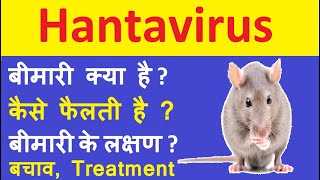 hantavirus latest information in hindi | Hantavirus kya hai | hantavirus symptoms in human |