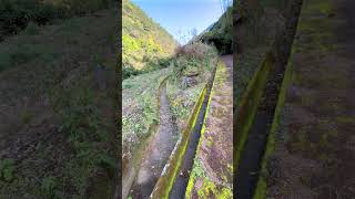 鉄道廃線沿いの現在（JR山野線／日本一長い運動場／水俣市市渡瀬）  Japan's longest playground in Minamata City #japanesecountryside