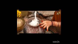 A Traditional Festival of Tamil Nadu - Pongal A Celebration of Nature, Unity \u0026 Tradition