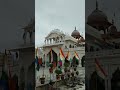 Jain Temple Shree Mahaveer ji ✨#shorts #jain #jainism #jaindharm #proudtobejain #ashortaday