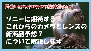 間違いだらけのカメラ機材選びch 「ソニーに期待する？これからのカメラとレンズの新商品予想？について解説します」