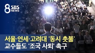 서울·연세·고려대 '동시 촛불'…교수들도 '조국 사퇴' 촉구 / SBS