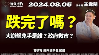 【黑色崩盤星期一！史上最大，台積電、台指期跌停！利空消息誰是兇手，政府會出手救市嗎？雷老闆現在認為最重要的是？】20240805 雷老闆《從0抱豹》EP179｜台積電 鴻海 國泰金 國建