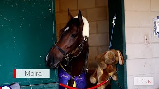 One Last Breeders’ Cup Dance for Moira