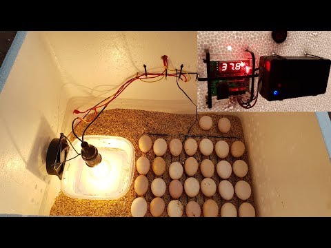 How to make a Hatching Egg Incubator at home How to make a Hatching Egg Incubator at home