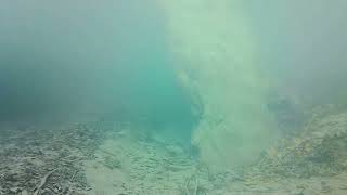 早明浦ダムの水中だけの動画_202205