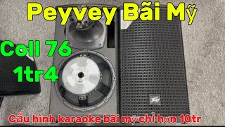 Thanh Lý Kho Loa Peyvey Bãi Mỹ  / Sub Bosse basss 30 1tr4 ( cấu hình karaoke hơn 10tr ) 0832328885