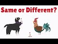 same and different for kids compare and contrast opposite words toddler learning videos