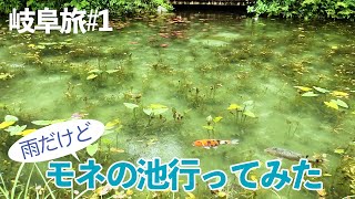 [Gifu Trip #1] Rainy Monet's Pond, Hydrangea Road and Gifu Castle