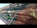 hydroseeding hydraulic mulch seeding on a mse wall.