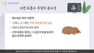 심장병이 있는 고양이와 개의 수면중 호흡수 측정법 보호자 안내