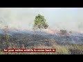 fire with purpose the how and why of prescribed burns