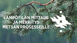 Lämpötilan mittaus ja merkitys metsän prosesseille - Janne Korhonen