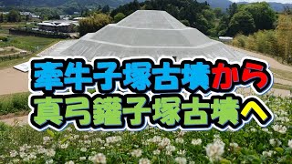 【牽牛子塚古墳】真弓鑵子塚古墳への道！模型広場と横口式石槨