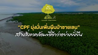 เรื่องดีดี CPF EP.308 ตอน “CPF มุ่งมั่นเพิ่มผืนป่าชายเลน” สร้างสิ่งแวดล้อมที่ดีกว่าอย่างยั่งยืน