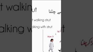 What is the meaning of strut in Urdu very easy question