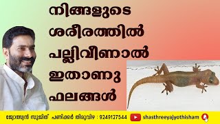 gouli shasthram l ശരീരത്തിൽ പല്ലി  വീഴുന്നതിന്റെ ഫലം  l #jyothisham_malayalam l #sujith_panicker