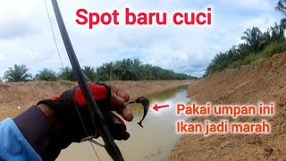 casting gabus/haruan spot baru cuci teknik dasar