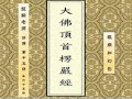 醍醐老师 讲解《楞严经》15节 “眼病和幻影” 【全65节】