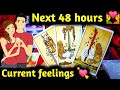 🌈 ** Current Feelings💘** Of Your Partner💑** In Next 48 Hours 😍** Timeless Hindi Tarot Reading 🌸🌈🦚🕯