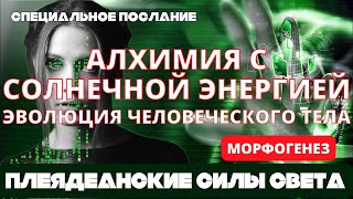 ПЛЕЯДЕАНЦЫ: МОРФОГЕНЕЗ, АЛХИМИЯ С СОЛНЕЧНОЙ ЭНЕРГИЕЙ. ЭВОЛЮЦИЯ ЧЕЛОВЕЧЕСКОГО ТЕЛА